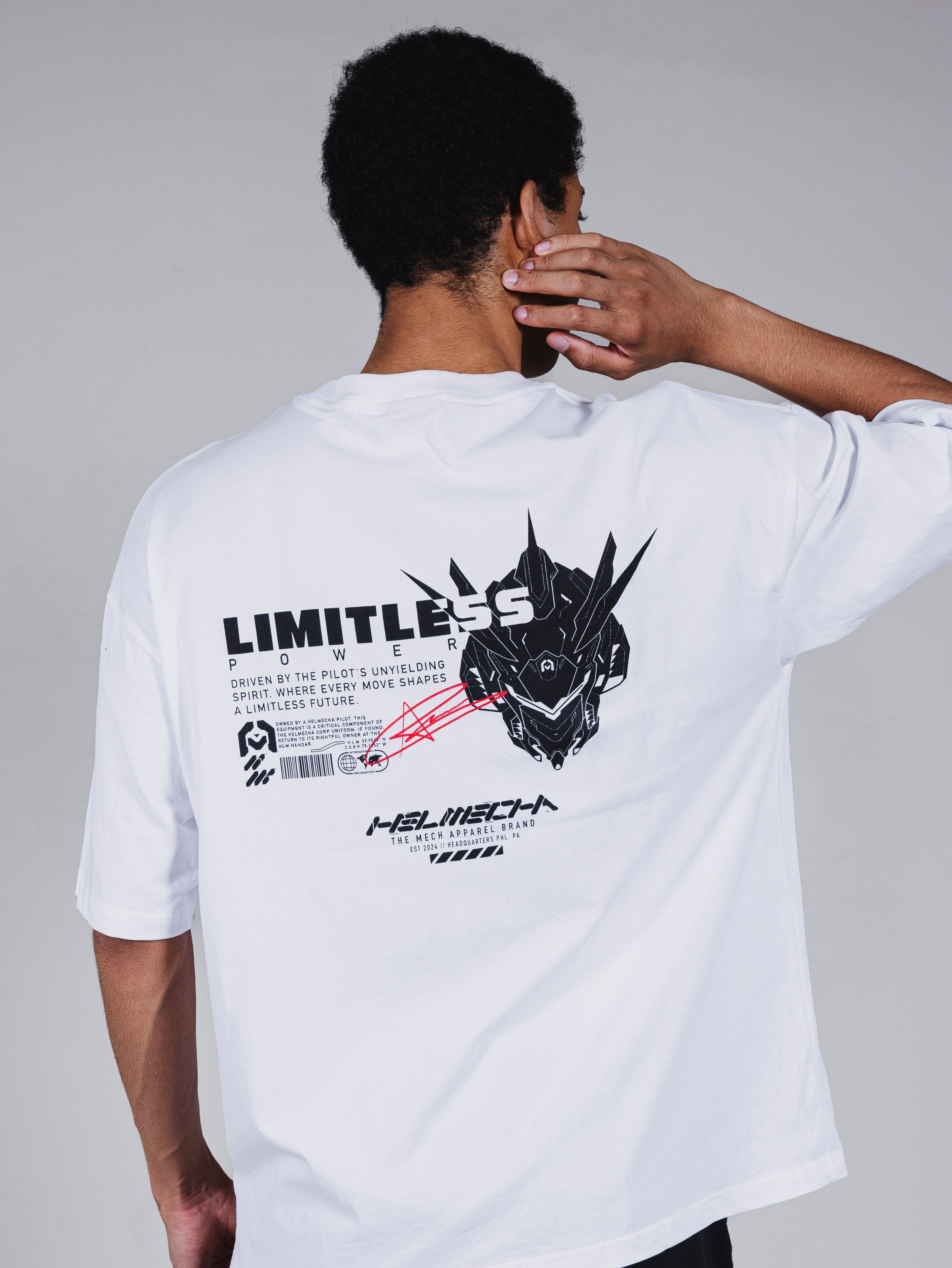 LMTLS – HELMECHA