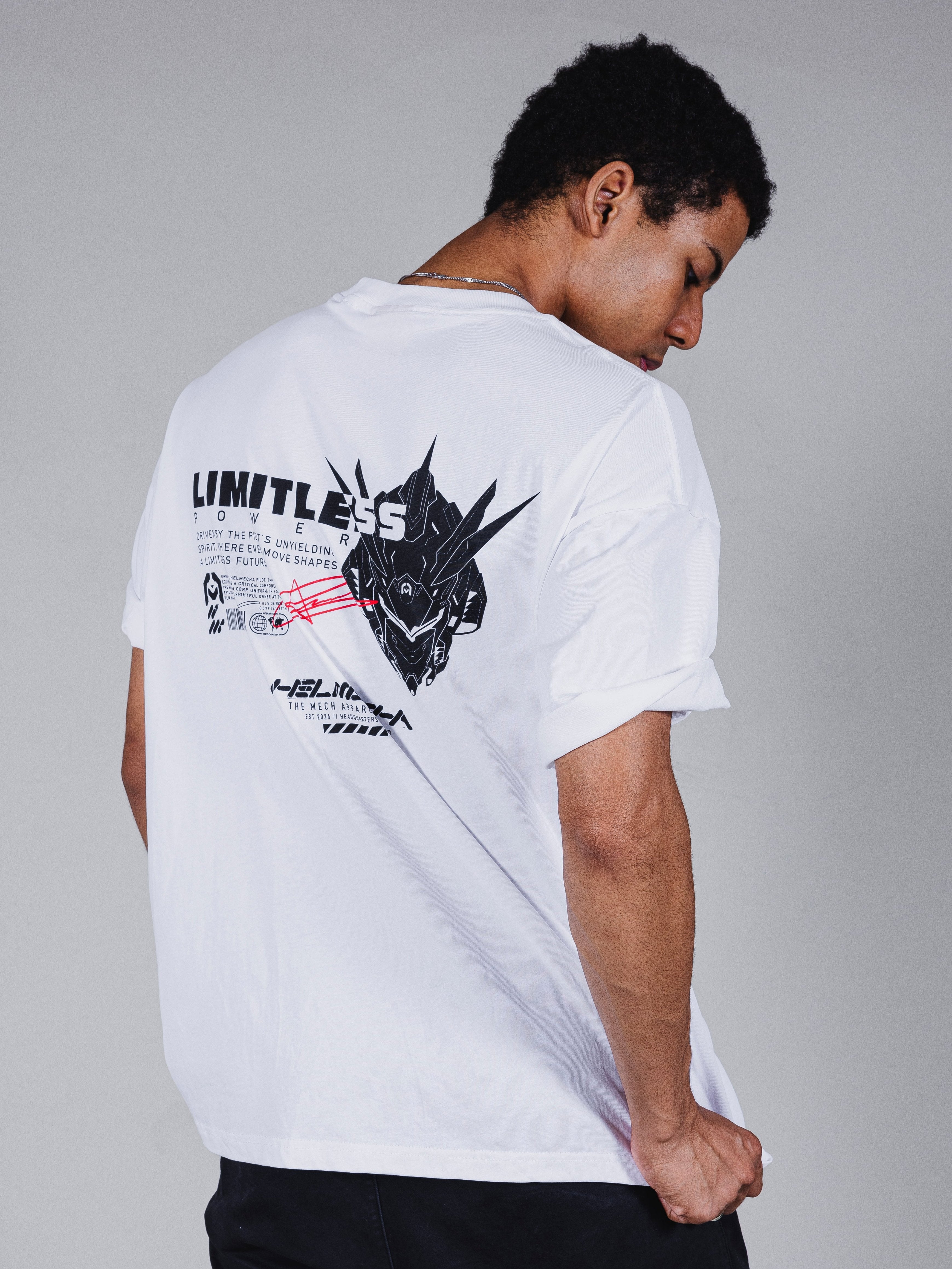 LMTLS – HELMECHA